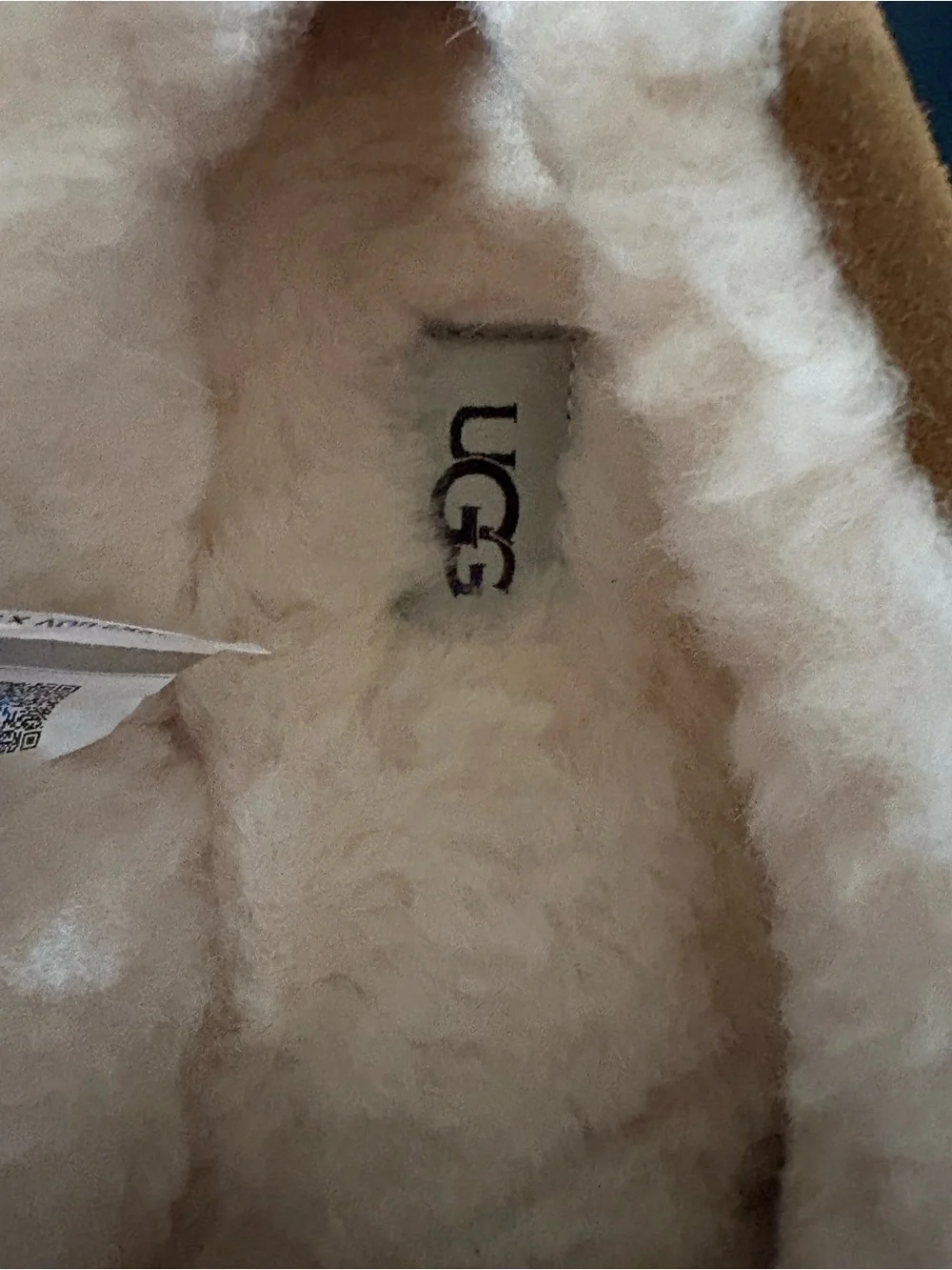 Men's UGG Slippers